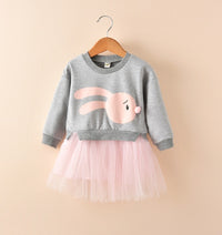 New spring infant skirt 1 long sleeved dress 2 female baby cartoon 3 4 princess dress lace dress tide