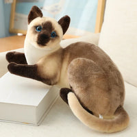 20/25CM Cute Simulation Cats Plush Toys Stuffed Animal Siamese Cat Doll for Children Kids Real life Toy Home Decor Birthday Gift