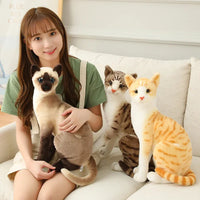 20/25CM Cute Simulation Cats Plush Toys Stuffed Animal Siamese Cat Doll for Children Kids Real life Toy Home Decor Birthday Gift