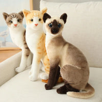 20/25CM Cute Simulation Cats Plush Toys Stuffed Animal Siamese Cat Doll for Children Kids Real life Toy Home Decor Birthday Gift