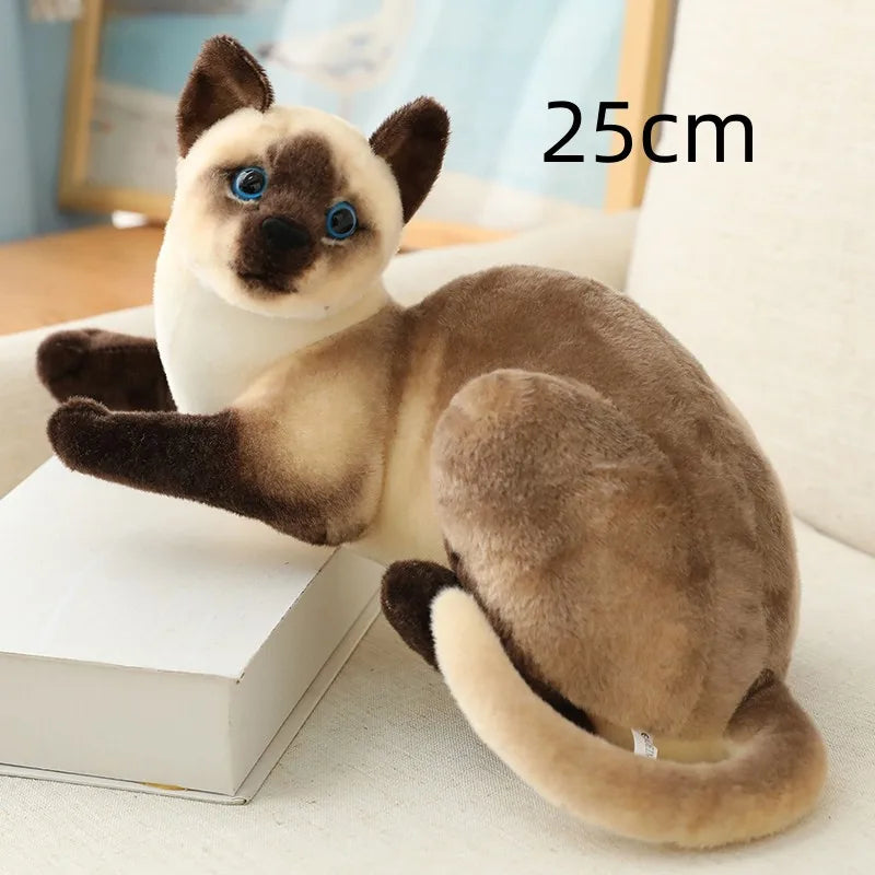 20/25CM Cute Simulation Cats Plush Toys Stuffed Animal Siamese Cat Doll for Children Kids Real life Toy Home Decor Birthday Gift